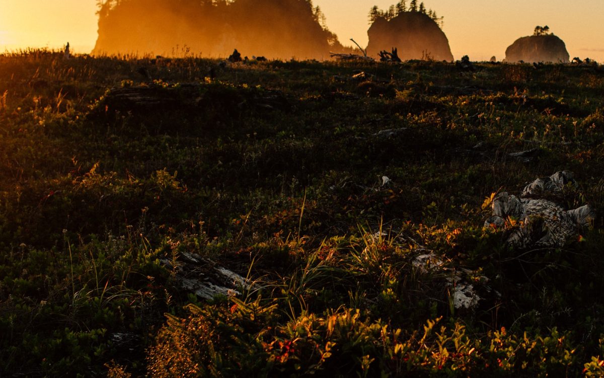 Cannon Beach & LaPush Road Trip!