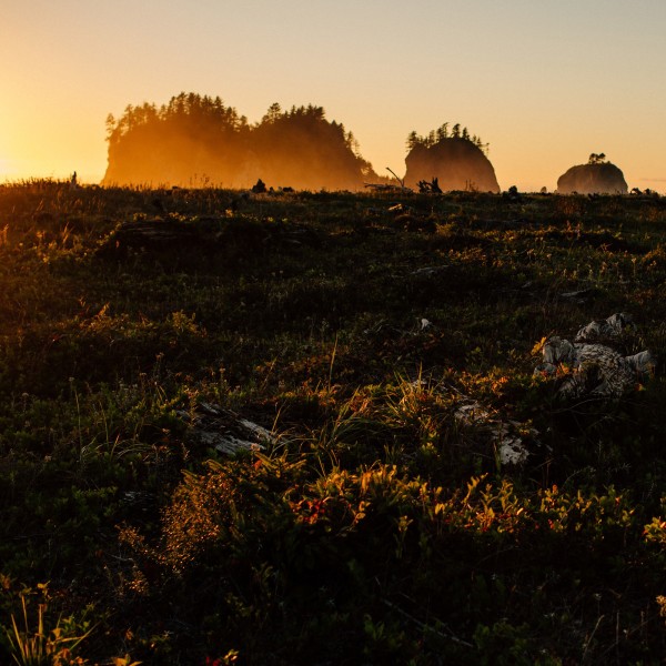 Cannon Beach & LaPush Road Trip!