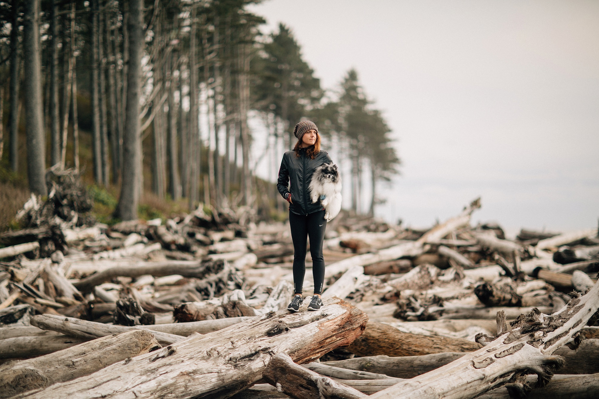 2016-12-28_0002